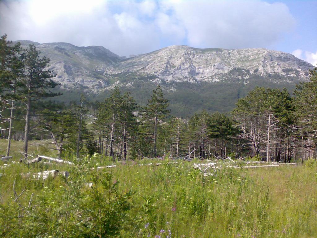Apartments Lana Starigrad Paklenica Εξωτερικό φωτογραφία