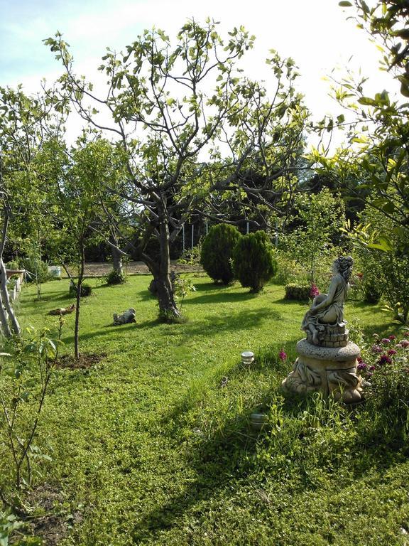 Apartments Lana Starigrad Paklenica Εξωτερικό φωτογραφία